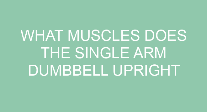 What Muscles Does The Single Arm Dumbbell Upright Row Work