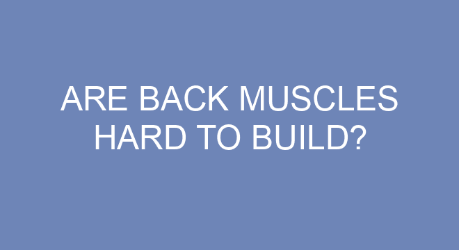 Are Back Muscles Hard To Build?