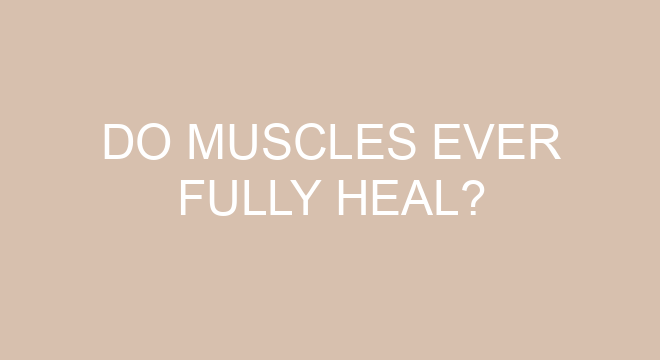 do-muscles-ever-fully-heal