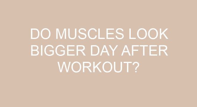 do-muscles-look-bigger-day-after-workout-thefitnessfaq