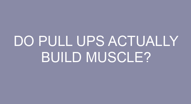 Do Pull Ups Actually Build Muscle?