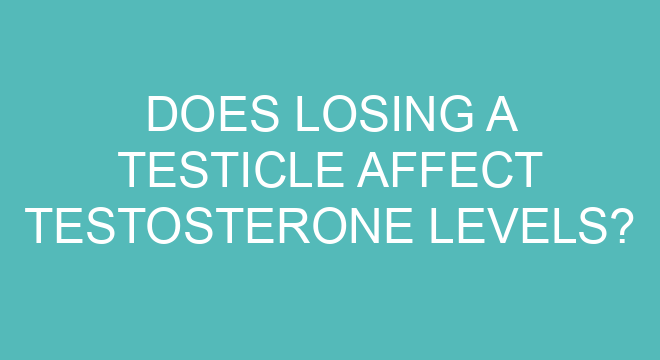 Does Losing A Testicle Affect Testosterone Levels