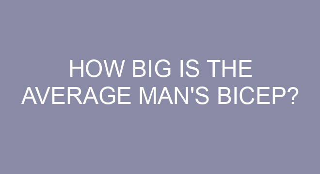 how-big-is-the-average-man-s-bicep