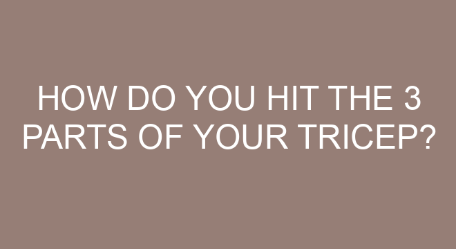 how-do-you-hit-the-3-parts-of-your-tricep