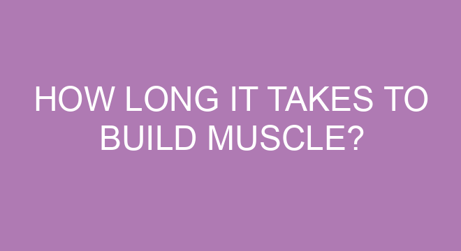 pin-on-muscle-building-for-beginners