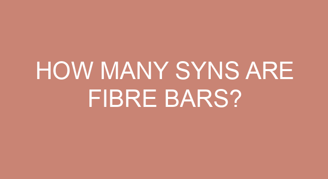 how-many-syns-are-fibre-bars