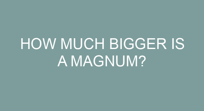 how-much-bigger-is-a-magnum