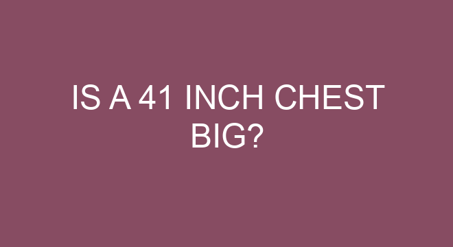 is-a-41-inch-chest-big