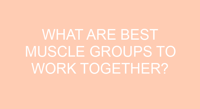 what-are-best-muscle-groups-to-work-together