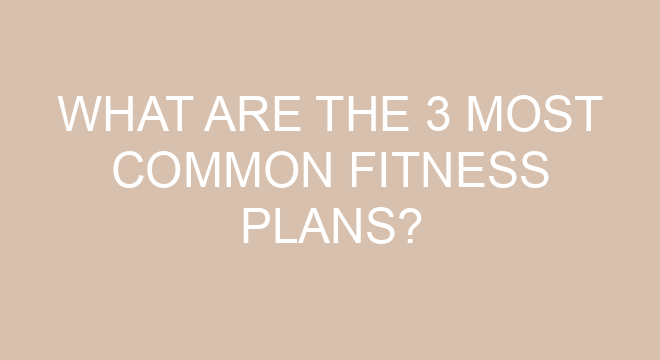 what-are-the-3-most-common-fitness-plans