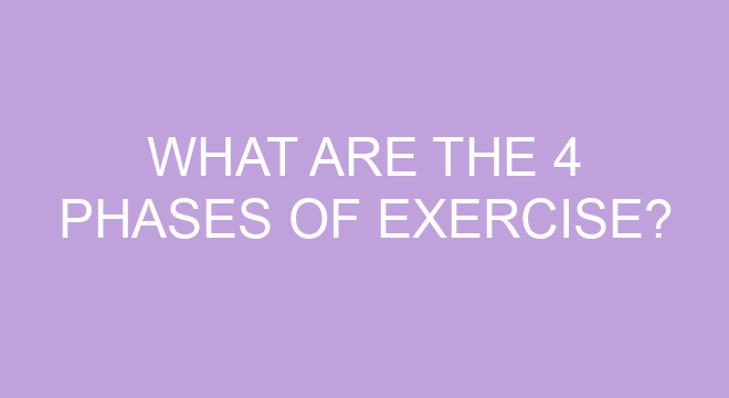 What Are The 4 Phases Of Exercise?