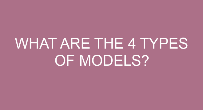 what-are-the-4-types-of-models