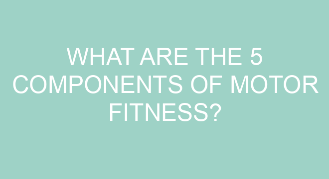 What Are The 5 Components Of Motor Fitness