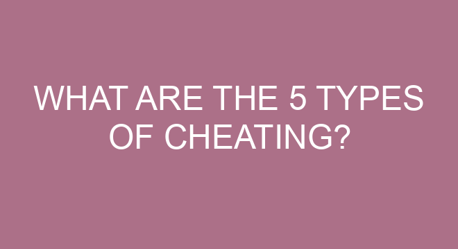 What Are The 5 Types Of Cheating