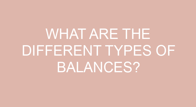 What Are The Different Types Of Balances?