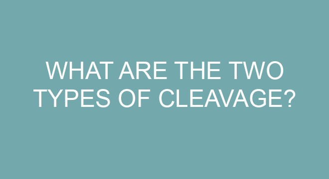 What Are The Two Types Of Cleavage?