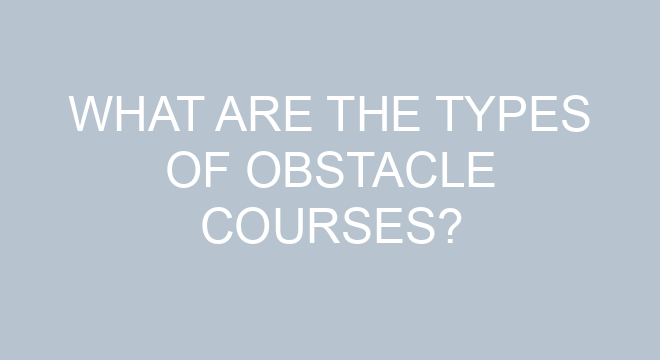 What Are The Types Of Obstacle Courses?