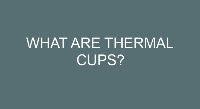 what-are-thermal-cups