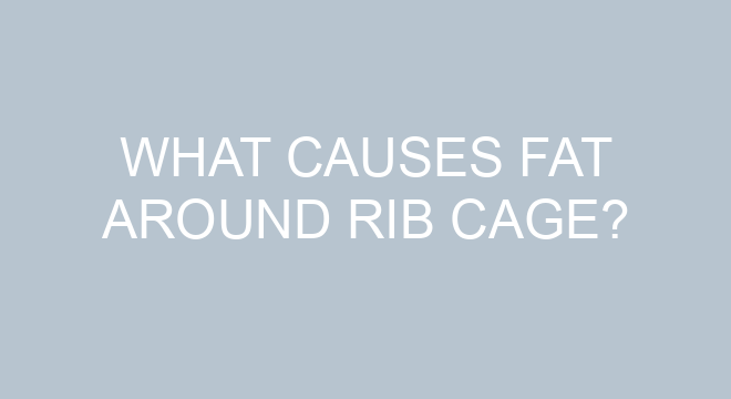 What Causes Fat Around Rib Cage?