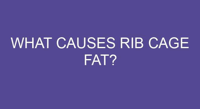 What Causes Rib Cage Fat?