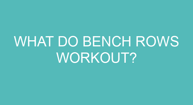 What Do Bench Rows Workout?