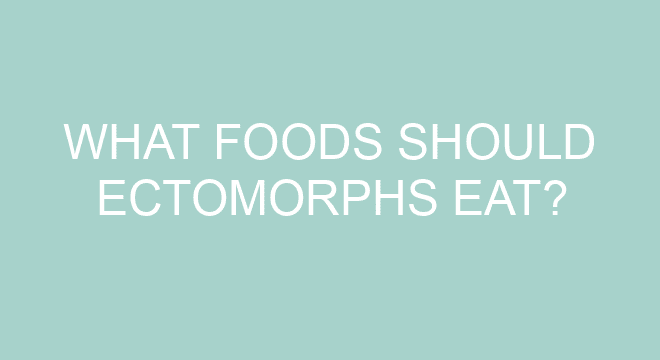 what-foods-should-ectomorphs-eat