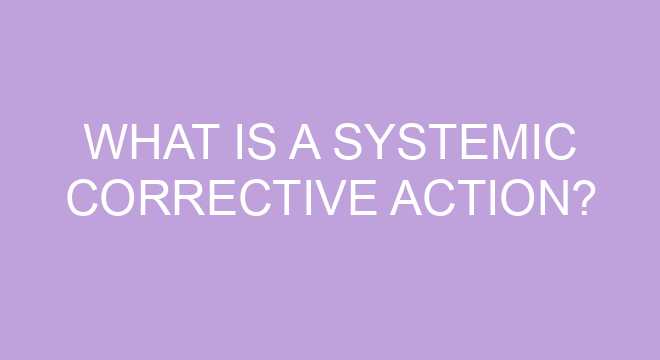 What Is A Systemic Corrective Action?