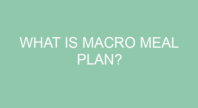 what-is-macro-meal-plan