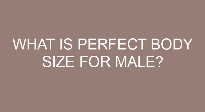 what-is-perfect-body-size-for-male