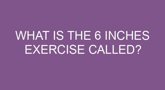 What Is The 6 Inches Exercise Called?