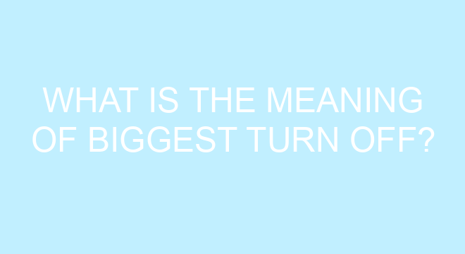 what-is-the-meaning-of-biggest-turn-off