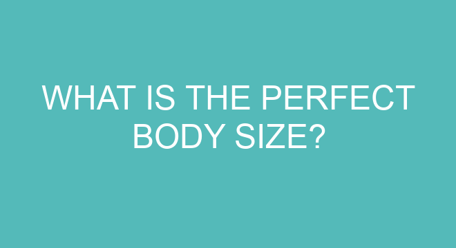 what-is-the-perfect-body-size