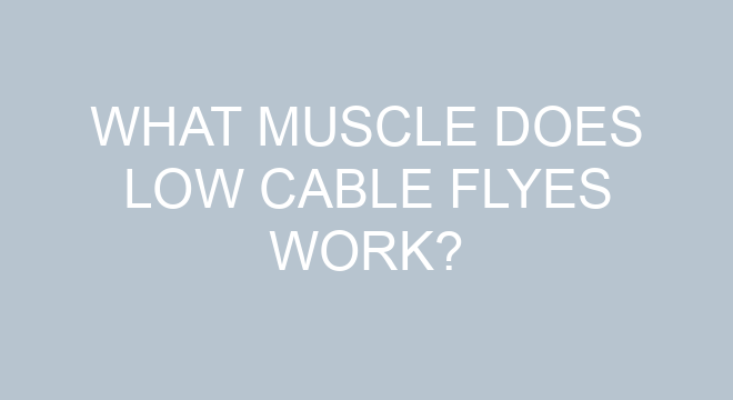 what-muscle-does-low-cable-flyes-work