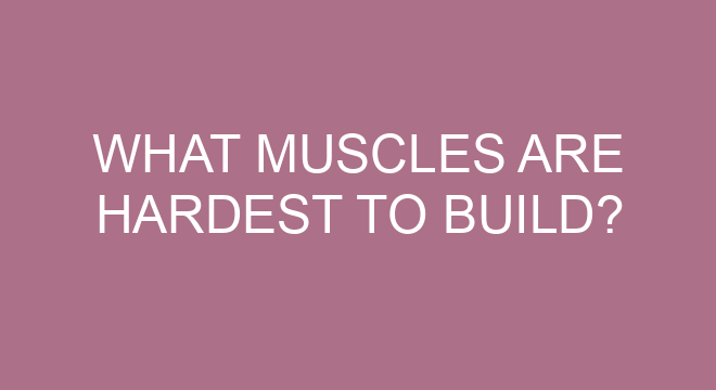 What Muscles Are Hardest To Build?