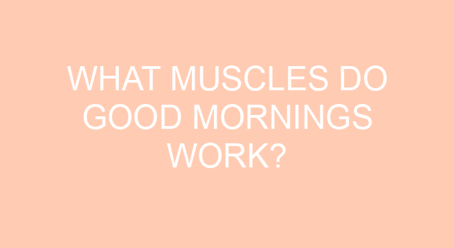 what-muscles-do-good-mornings-work