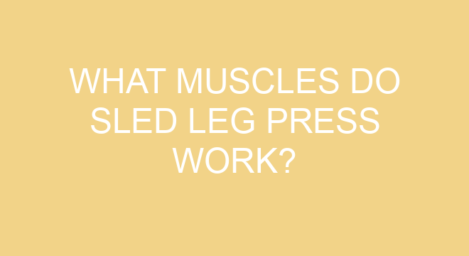 What Muscles Do Sled Leg Press Work?