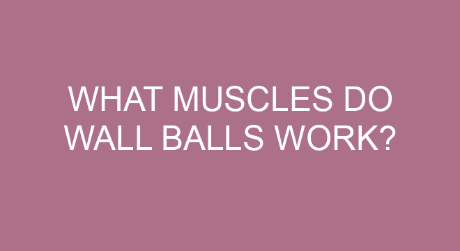 what-muscles-do-wall-balls-work