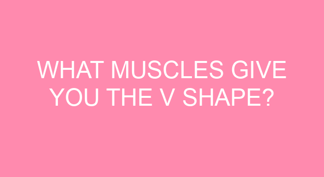 what-muscles-give-you-the-v-shape-thefitnessfaq