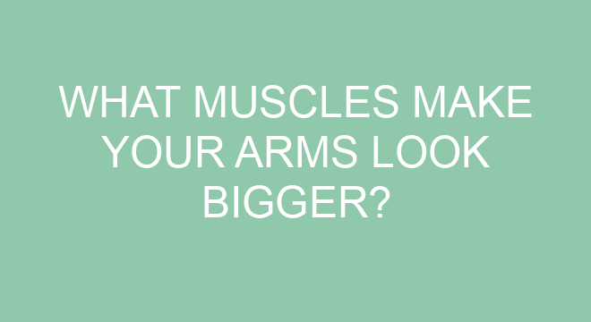 What Muscles Make Your Arms Look Bigger?