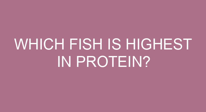 why-fish-is-a-healthy-protein-and-how-to-get-more-of-it-lark-health