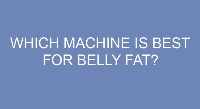 which-machine-is-best-for-belly-fat