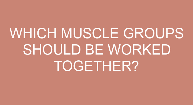 which-muscle-groups-should-be-worked-together