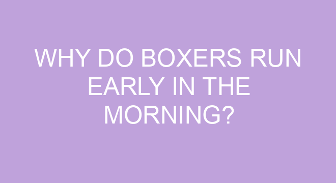 why-do-boxers-run-early-in-the-morning