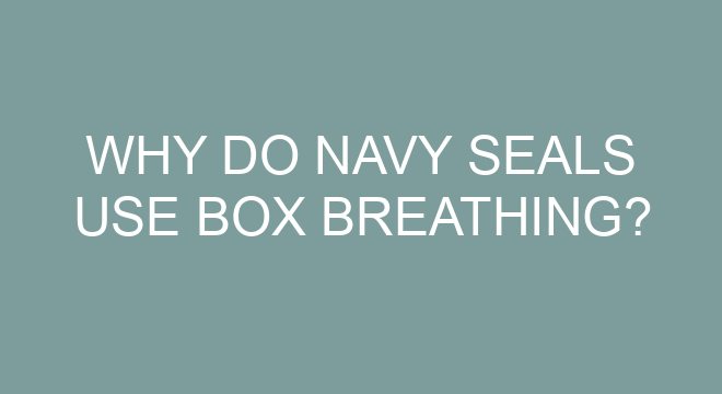 Why Do Navy SEALs Use Box Breathing?