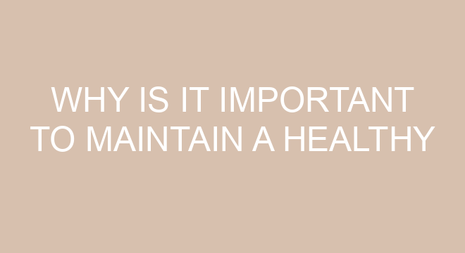 Why Is It Important To Maintain A Healthy Lifestyle Essay 