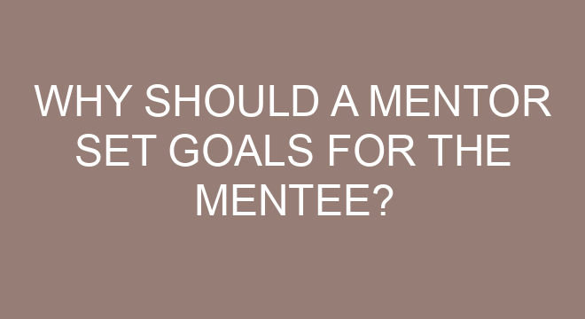 Why Should A Mentor Set Goals For The Mentee?