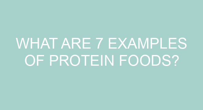 What Are 7 Examples Of Protein Foods?